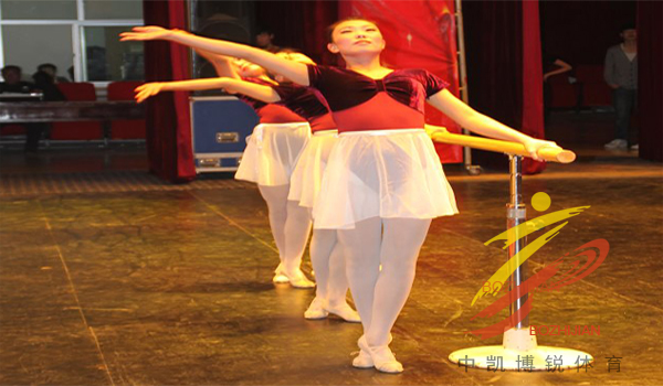 50场通络操培训燃动石家庄公益力量守护银龄健康(图1)