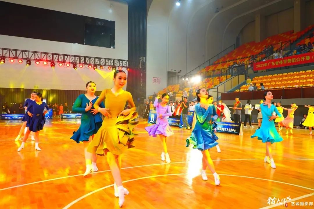 【豫见花卉】氛围感拉满！古城萌娃热舞出圈